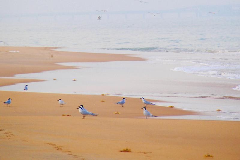 Khomba Beach House Alankuda Bagian luar foto