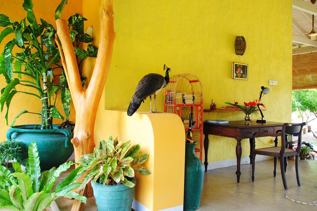 Khomba Beach House Alankuda Bagian luar foto