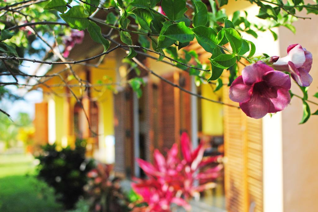 Khomba Beach House Alankuda Bagian luar foto